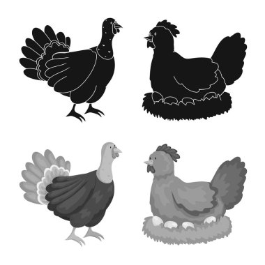 Üreme ve mutfak logosu yalıtılmış nesne. Koleksiyon ıslahının ve organik hisse senedi vektör çizim.