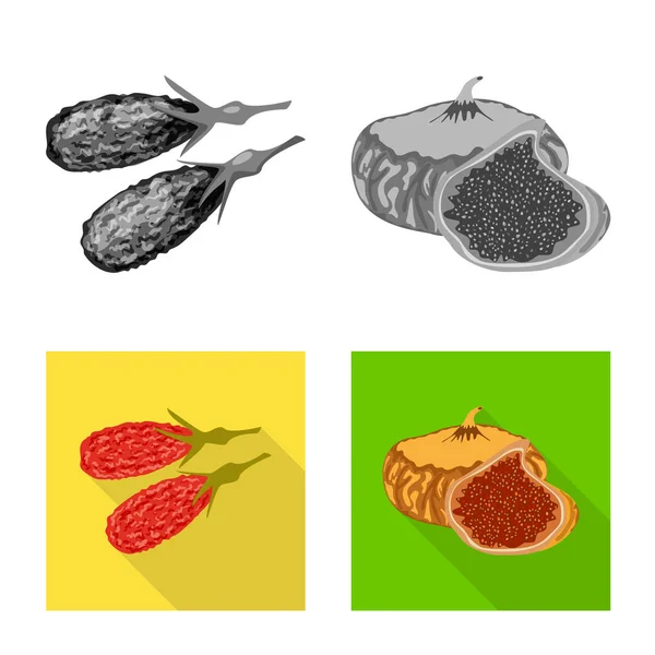 Objeto isolado de alimento e símbolo cru. Conjunto de símbolos de estoque de alimentos e natureza para web . — Vetor de Stock