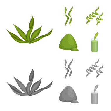 Protein ve deniz sembolü yalıtılmış nesne. Protein ve web için doğal hisse senedi simgesi toplama.