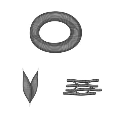 Vektör tasarımı insan ve vücut simgesi. İnsan ayarla ve hücreleri hisse senedi için simge vektör.