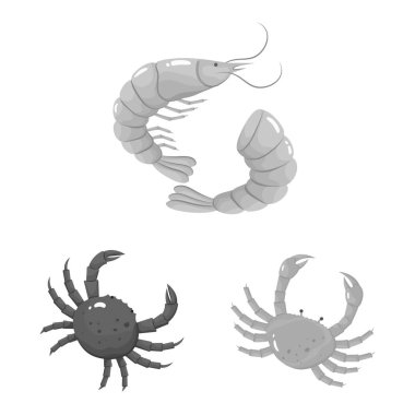 Deniz ürünleri ve sağlıklı logosu izole nesne. Web için deniz ürünleri ve okyanus stok sembolü seti.