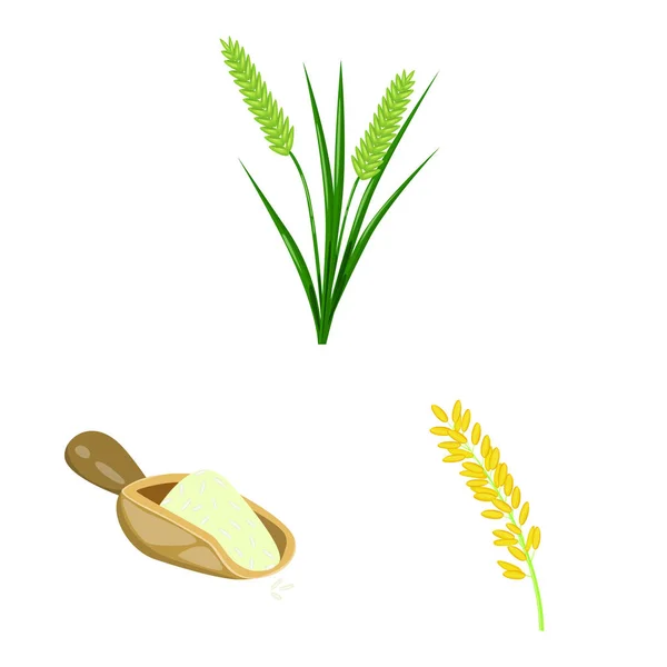 Objeto aislado de alimento e icono orgánico. Colección de alimentos y vector agrícola icono para stock . — Vector de stock