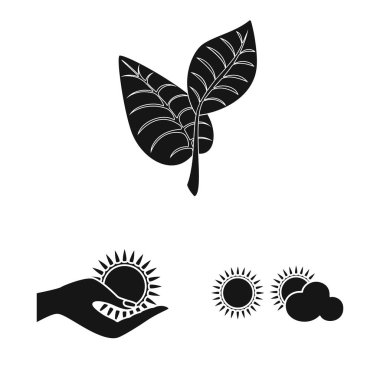 Yenilik ve teknoloji simge vektör tasarımı. Yenilik ve hisse senedi için doğa vektör simge kümesi.