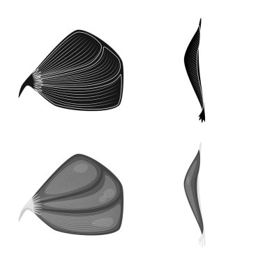 Lif ve kas simge vektör Illustration. Lif ve vücut hisse senedi vektör çizim topluluğu.