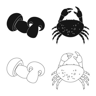 Tat ve ürün logo vektör Illustration. Toplama tat ve hisse senedi simgesi web için pişirme.