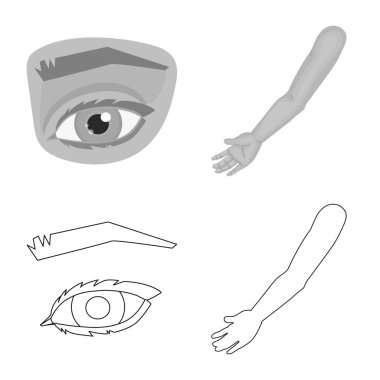 Vücut ve bölümü simgesi yalıtılmış nesne. Vücut ve anatomi hisse senedi simgesi için web topluluğu.