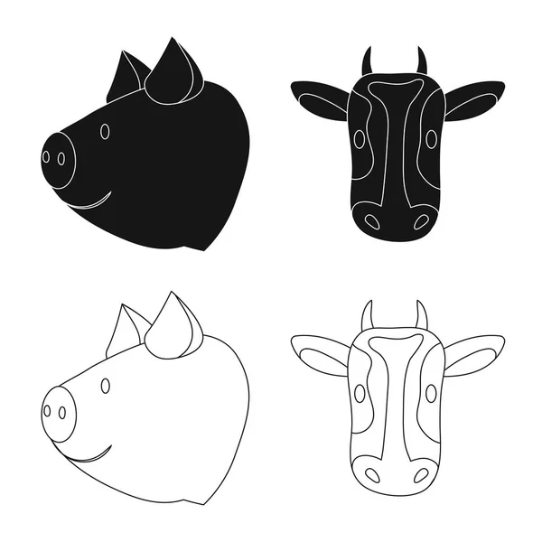 Conception vectorielle de l'agriculture et icône de l'élevage. Ensemble de symbole de stock agricole et biologique pour la toile . — Image vectorielle