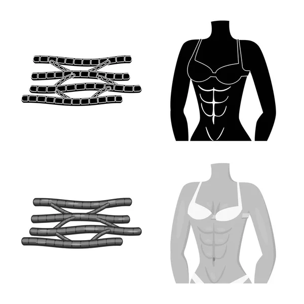 繊維や筋肉のロゴのベクトル イラスト。Web の繊維と体のストック シンボルのコレクション. — ストックベクタ