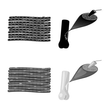 Lif ve kas simge vektör Illustration. Hisse senedi için lif ve vücut vektör simge kümesi.