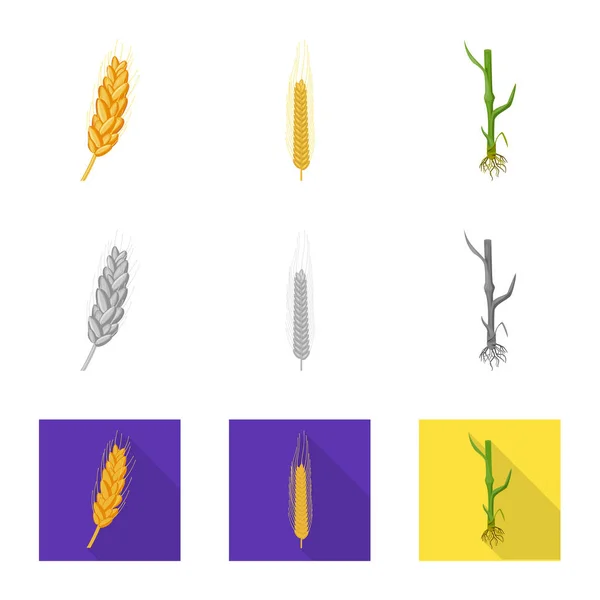 Ilustração vetorial da agricultura e sinalização agrícola. Coleta da agricultura e ilustração vetorial do estoque vegetal . — Vetor de Stock