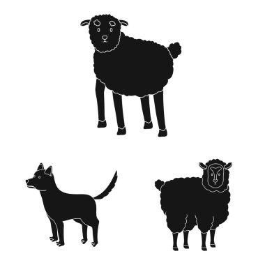 Çiftlik ve organik simge vektör illüstrasyon. Çiftlik ve gıda stok vektör illüstrasyon seti.