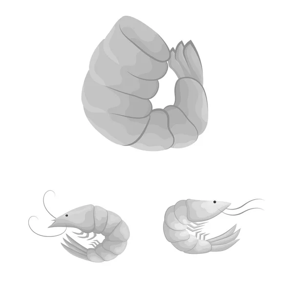 Vektorové ilustrace z krabů a předkrm znamení. Sbírka kraba a moře vektorové ikony pro stock. — Stockový vektor