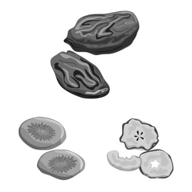 Vitamin ve doğa sembolü izole nesne. Vitamin ve kurutulmuş stok vektör illüstrasyon seti.