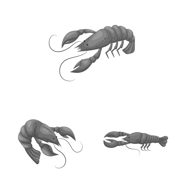 Conception vectorielle du symbole crabe et hors-d'œuvre. Collection de crabe et de stock marin symbole pour le web . — Image vectorielle