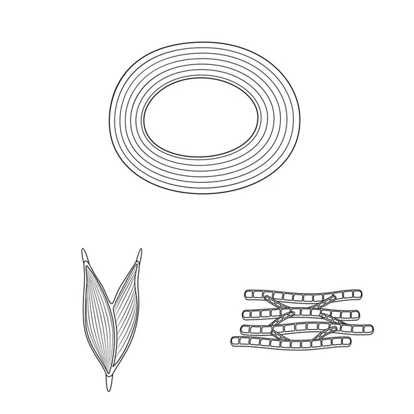 Векторная иллюстрация волокна и мышечной иконки. Коллекция векторных иллюстраций волокон и кузова . — стоковый вектор