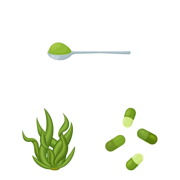 Diseño vectorial de espirulina y símbolo de algas marinas. Conjunto de espirulina y símbolo de stock vegano para web . — Archivo Imágenes Vectoriales
