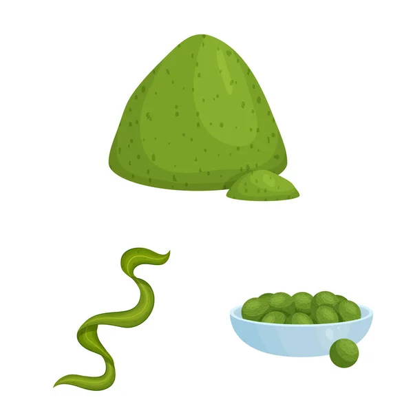 Diseño vectorial de espirulina y logotipo de algas marinas. Conjunto de espirulina y vector vegano icono para stock . — Vector de stock