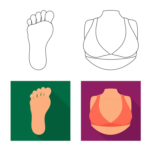 Geïsoleerde object van lichaam en deel logo. Set van lichaam en anatomie aandelensymbool voor web. — Stockvector