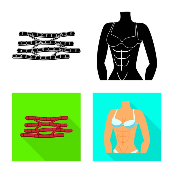 Objeto aislado de fibra y signo muscular. Colección de fibra y cuerpo símbolo de stock para la web . — Vector de stock