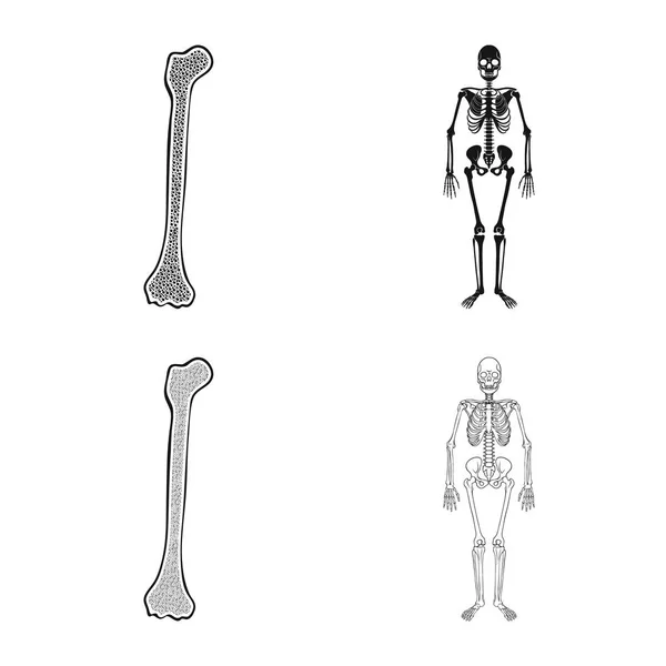 Vektor design av medicin och klinik tecken. Samling av läkemedel och medicinska lager vektorillustration. — Stock vektor