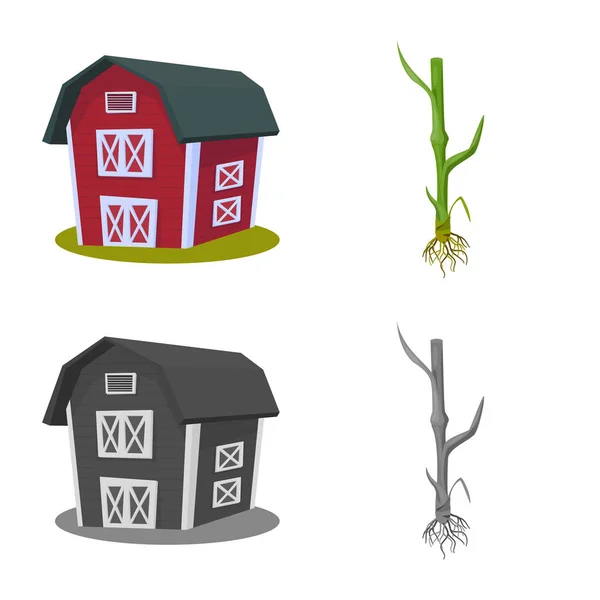 Diseño vectorial del icono de la agricultura y la agricultura. Conjunto de icono de agricultura y vector vegetal para stock . — Vector de stock