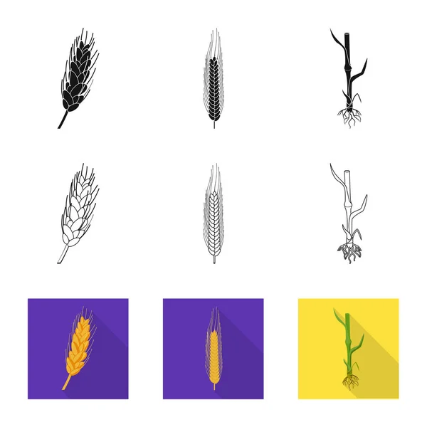 农业和农业的孤立对象。网络农业和植物存量符号的收集. — 图库矢量图片