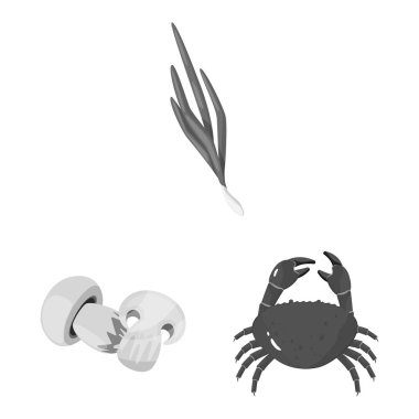 Baharatlar ve aroma işareti vektör tasarımı. Baharatlar ve ürün hisse senedi simgesi için web topluluğu.