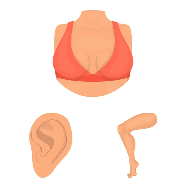 Geïsoleerde object van lichaam en deel pictogram. Set van lichaam en anatomie voorraad vectorillustratie. — Stockvector