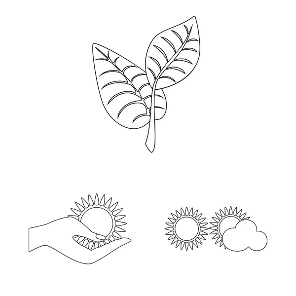 Diseño vectorial del logotipo de innovación y tecnología. Colección de innovación y símbolo de stock de naturaleza para la web . — Vector de stock