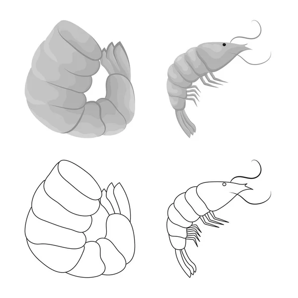 Objeto isolado de aperitivo e símbolo do oceano. Coleção de aperitivo e símbolo de estoque de delicadeza de web . — Vetor de Stock