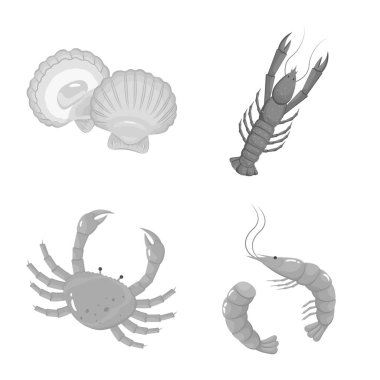 Deniz ürünlerinin izole nesnesi ve sağlıklı bir işaret. Stok için deniz ürünleri ve okyanus vektör simgesi seti.