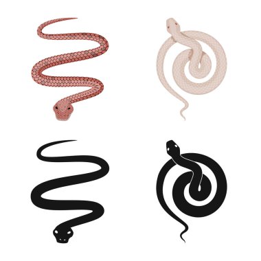 Mammal ve tehlike işareti yalıtılmış nesne. Memeli ve tıp hisse senedi vektör çizim seti.