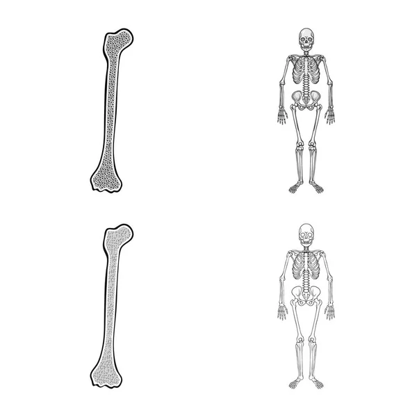 Objeto isolado da medicina e logotipo da clínica. Conjunto de medicina e vetor médico ícone para estoque . — Vetor de Stock