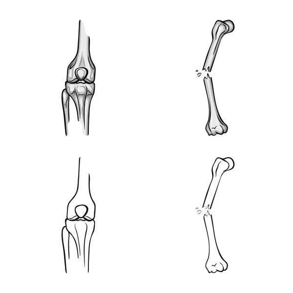 Vector ontwerp van geneeskunde en kliniek logo. Verzameling van geneeskunde en medische vector pictogram voor voorraad. — Stockvector