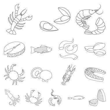 Gıda ve deniz sembolü vektör illüstrasyon. Gıda ve sağlıklı stok vektör illüstrasyon toplama.