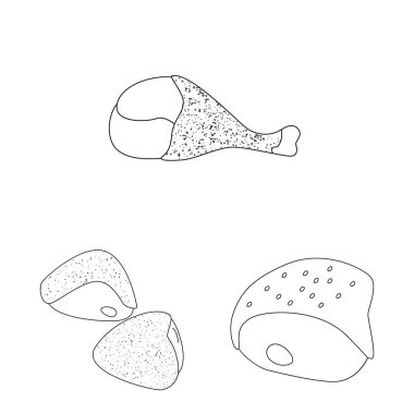 Gıda vektör tasarımı ve ızgara simgesi. Stok için yiyecek ve kuş vektör simgesi koleksiyonu.