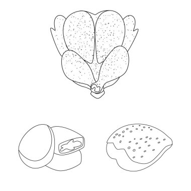 Gıda ve ızgara simgesi izole nesne. Web için gıda ve kuş stok sembolü toplama.