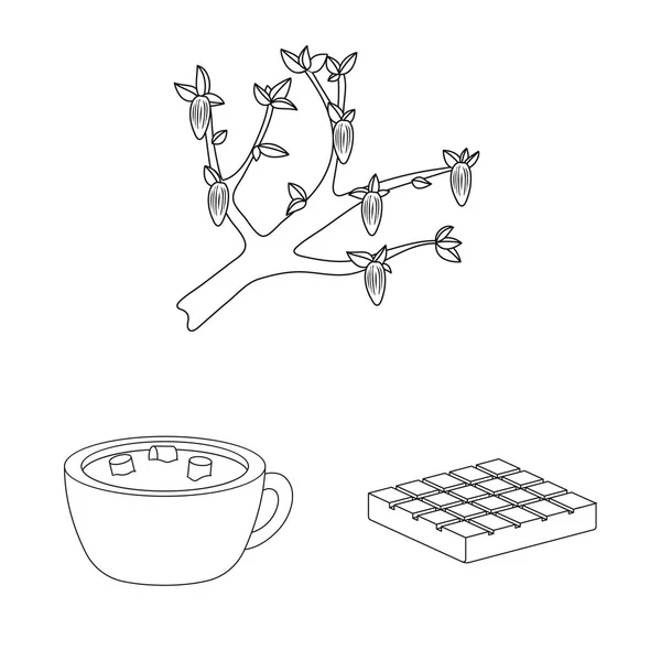 Векторні ілюстрації значка какао і квасолі. Набір какао і солодкість Векторні значки на складі . — стоковий вектор