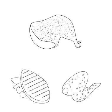 Gıda ve ızgara simgesi izole nesne. Gıda ve kuş stok vektör illüstrasyon seti.