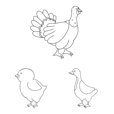 Ev yapımı ve kırsal simge vektör tasarımı. Stok için ev yapımı ve tarım vektör simgesi koleksiyonu.