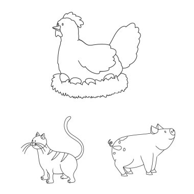 Ev yapımı ve kırsal sembolüvektör illüstrasyon. Ev yapımı ve tarım stok vektör illüstrasyon seti.