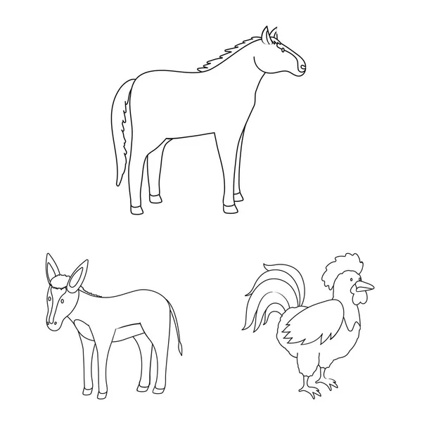 Izolovaný objekt ikony domácí a venkovské krajiny. Ilustrace vektorového a zemědělského burzovního vektoru. — Stockový vektor