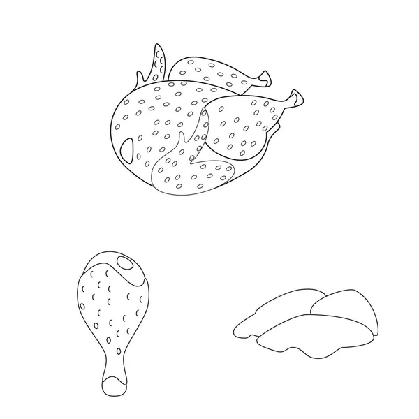 Illustration vectorielle de nourriture et panneau grillé. Collection de nourriture et symbole de stock d'oiseaux pour la toile . — Image vectorielle