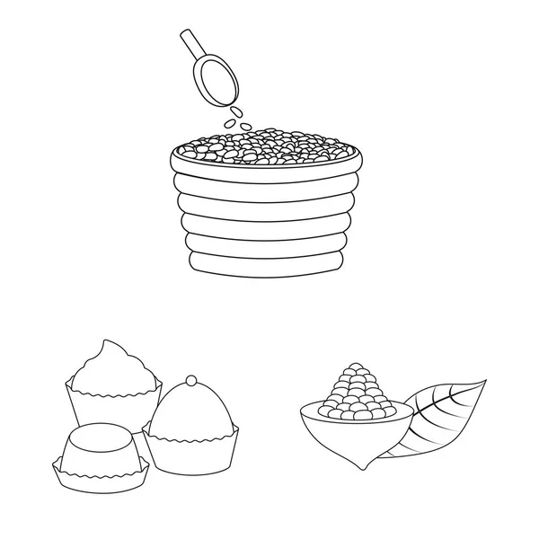 Illustrazione vettoriale dell'icona di cacao e fagioli. Raccolta di icona vettoriale di cacao e dolcezza per brodo . — Vettoriale Stock