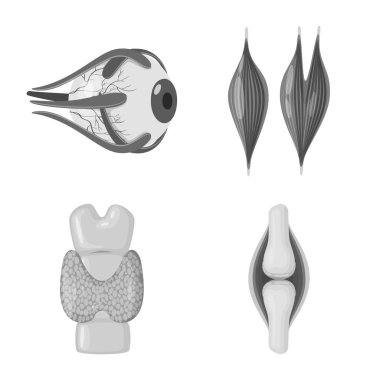 İç ve tıbbi tabelayı vektör tasarımı. Web için iç ve sağlık Stok sembolü koleksiyonu.