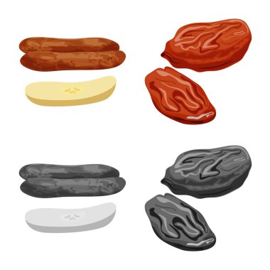 Gıda ve ham simge vektör tasarımı. Gıda kümesi ve hisse senedi için doğa vektör simgesi.