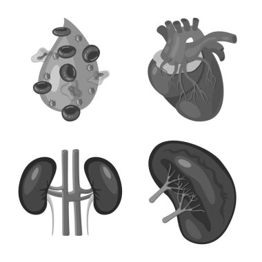 İç ve tıbbi sembolün vektör illüstrasyonu. Stok için iç ve sağlık vektör simgesinin toplanması.