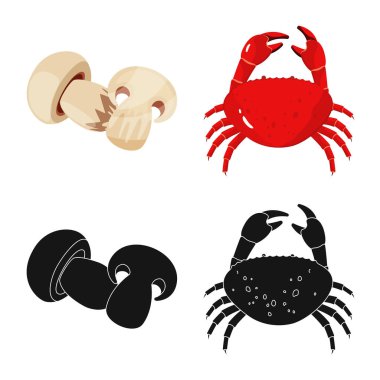 Tat ve ürün simge vektör Illustration. Tat ve hisse senedi vektör çizim pişirme koleksiyonu.