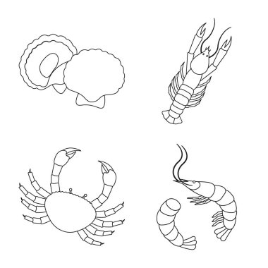 Gıda ve deniz simge vektör Illustration. Gıda ve sağlıklı hisse senedi simgesi için web topluluğu.