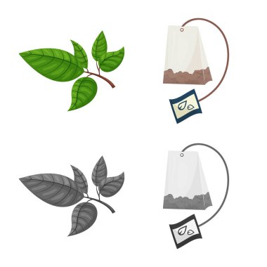 Sağlıklı ve çiçek sembolü yalıtılmış nesne. Sağlıklı ve degrade hisse senedi vektör çizim seti.